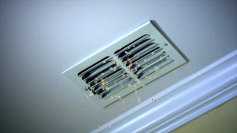Affordable HVAC Duct Cleaning in Payson, AZ