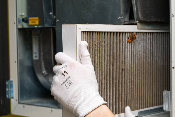Best Ductwork Cleaning Services  in Payson, AZ