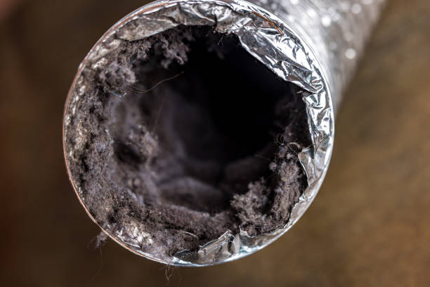 Best Local Air Duct Cleaning Services  in Payson, AZ