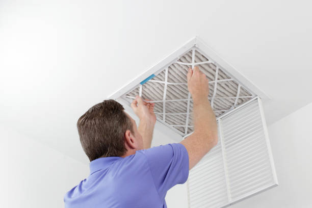 Air Duct Mold Removal in Payson, AZ